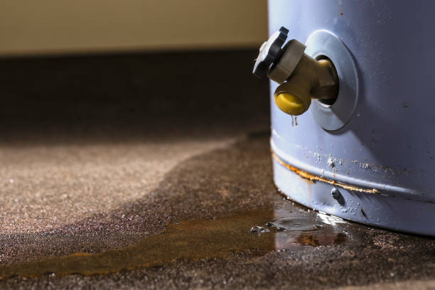 Best Sewage cleanup and water damage restoration  in St Michael, MN