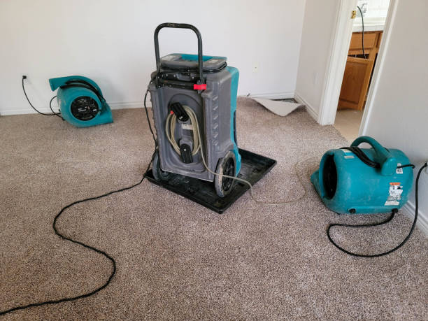 Best Basement water damage restoration  in St Michael, MN
