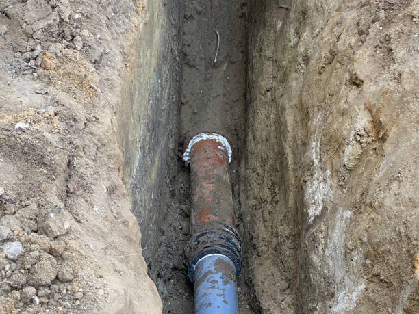 Best 24/7 water damage repair  in St Michael, MN