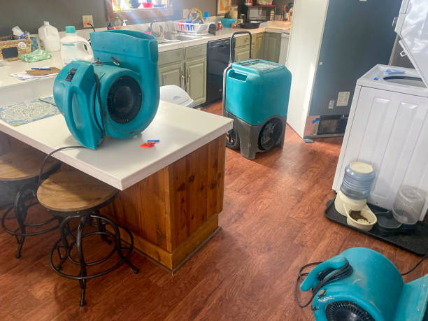 Best Local water damage restoration  in St Michael, MN