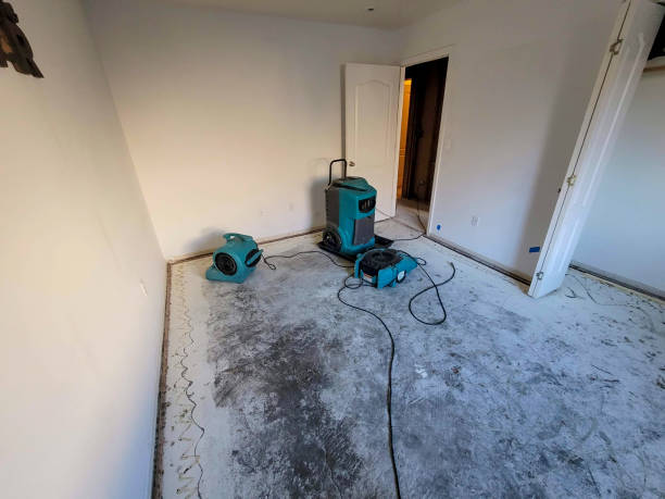 Best Commercial water damage restoration  in St Michael, MN