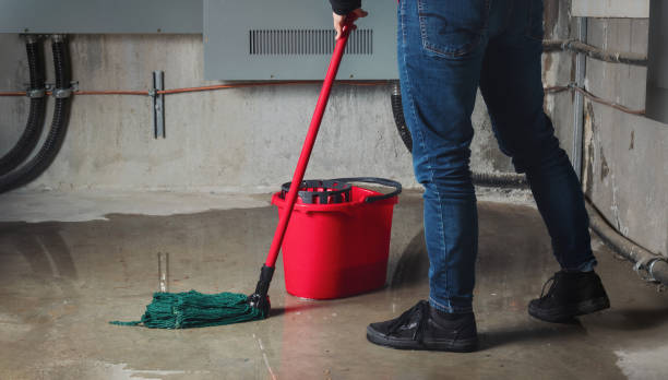 St Michael, MN Water damage restoration Pros