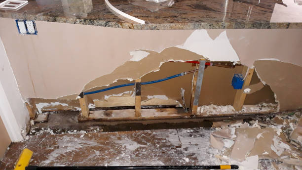 Best Water damage contractors near me  in St Michael, MN