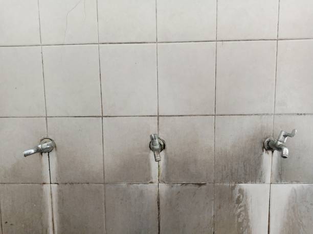 Best Water damage restoration insurance claims  in St Michael, MN