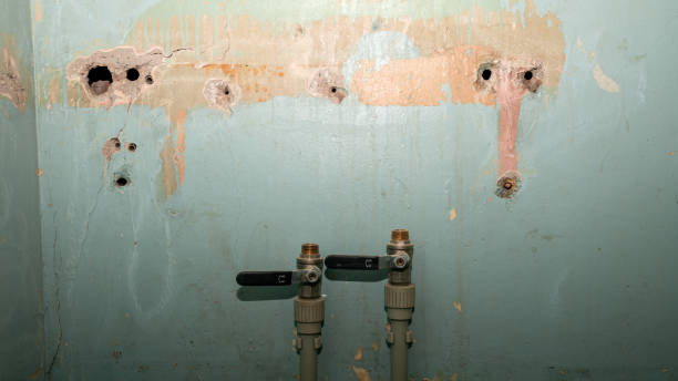 Best Carpet water damage restoration  in St Michael, MN