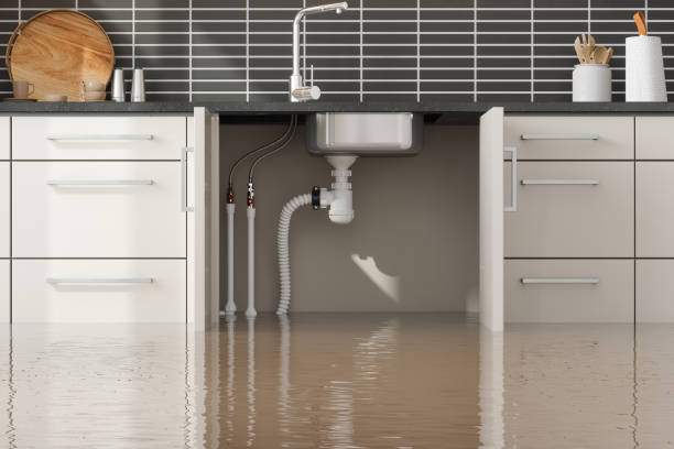 Best Flood restoration services  in St Michael, MN