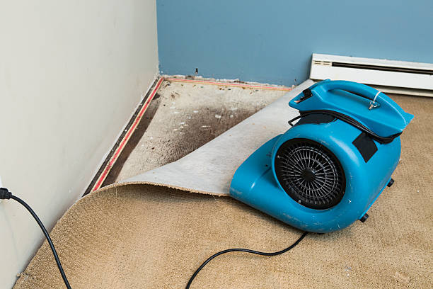 Best Water damage cleanup near me  in St Michael, MN